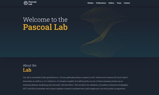 Screenshot of the webpage created by idea-sci for the Pascoal Lab.